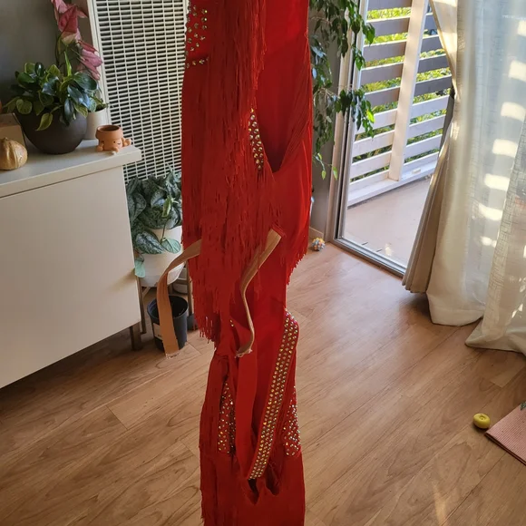 Elegant Red Fringe Dress - Picture 4 of 4